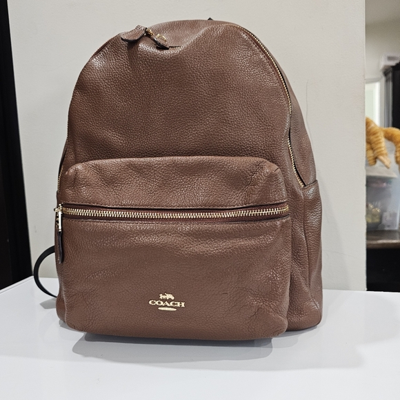 Large Coach backpack - Picture 3 of 12